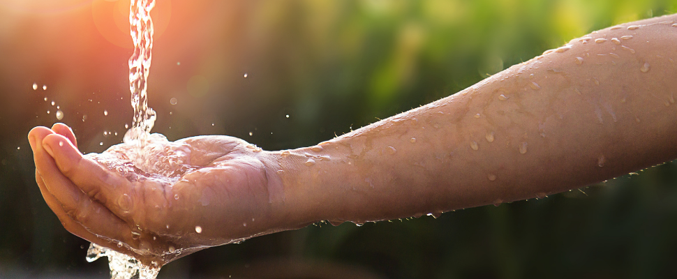 מים עדכון נפשות