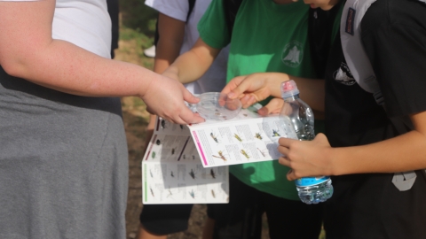 לומדים (5).JPG